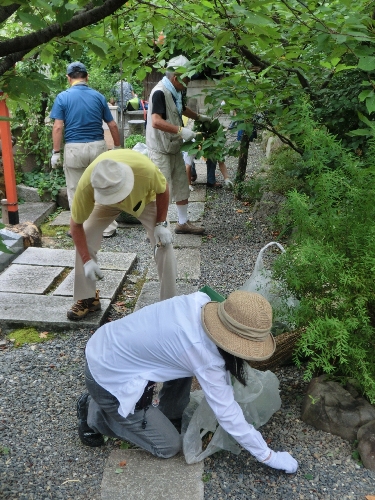 1095-閻魔堂　岸本さん草引き他.JPG